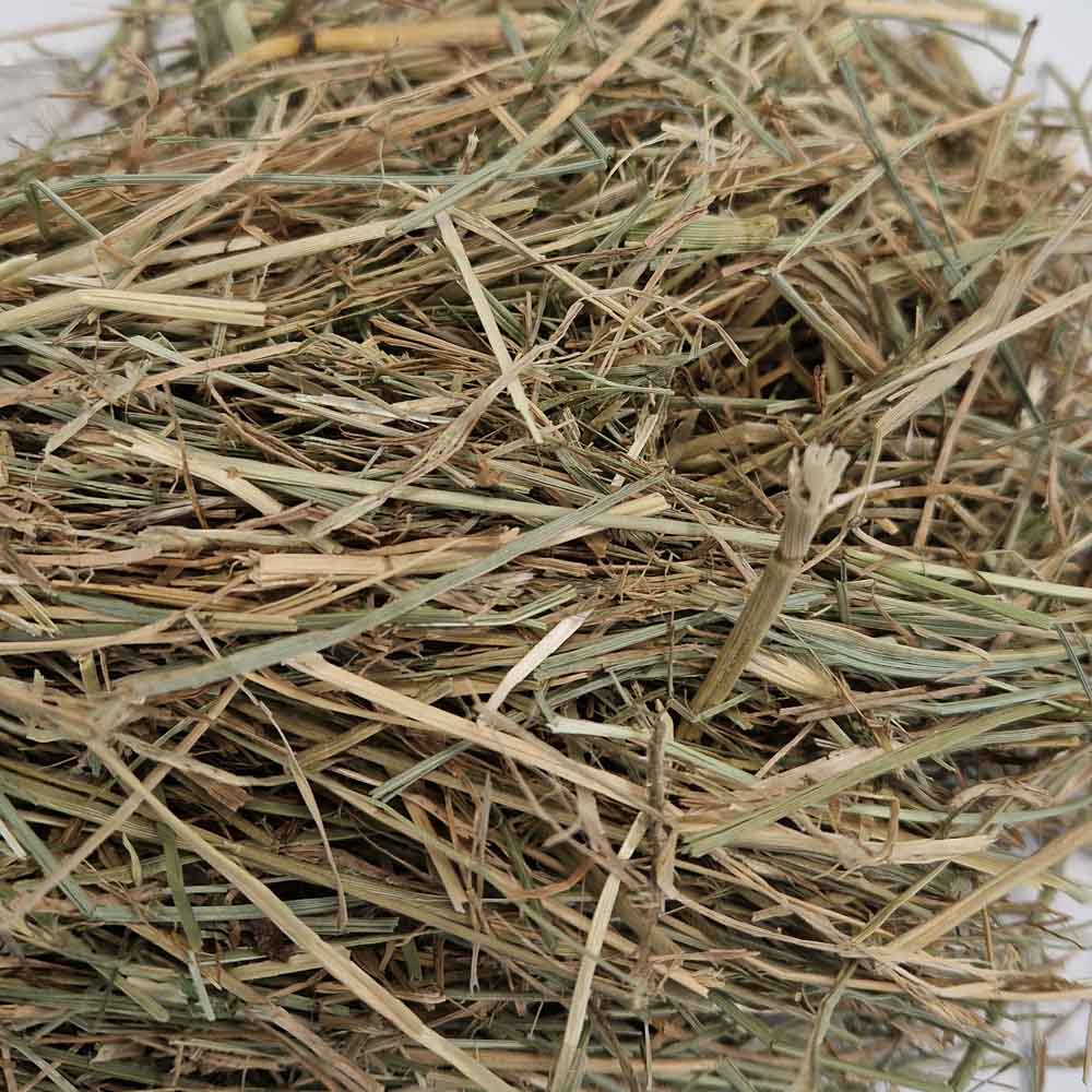 Heu Mix als Raufutter für Rinder und Kleinwiederkäufer von Kofmel Mühle Futtermittel