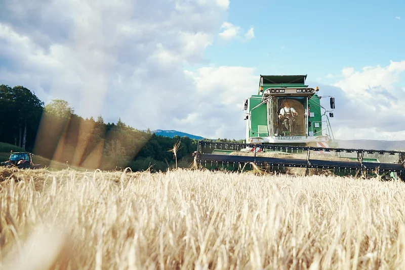 Kofmel Mühle Angebot für Landwirte und Getreideproduzenten